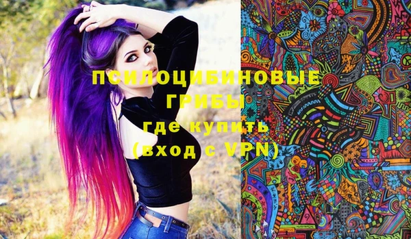 spice Аркадак