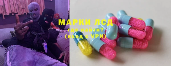 spice Аркадак