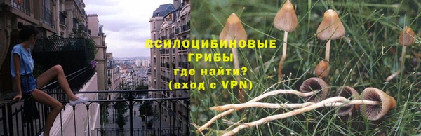spice Аркадак