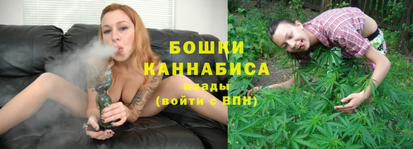 spice Аркадак
